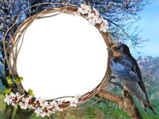 Рамки: Весенние рамки