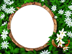 Рамки: Весенние рамки