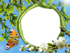 Рамки: Весенние рамки