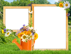 Frames: Summer Pack