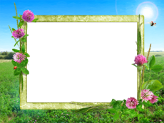 Frames: Summer Pack