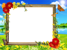 Frames: Summer Pack