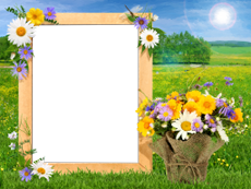 Frames: Summer Pack