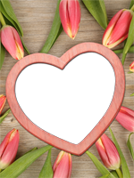 Marcos: Paquete de San Valentín  II