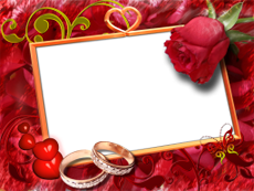 Frames: Wedding Pack