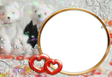 Frames: Wedding Pack
