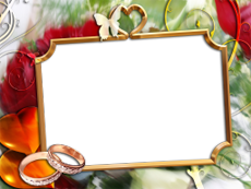 Frames: Wedding Pack
