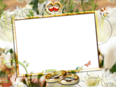 Frames: Wedding Pack