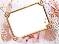Frames: Wedding Pack