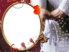 Frames: Wedding Pack