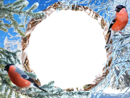 Зимние рамки