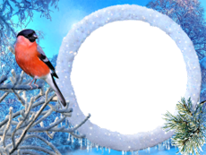 Bilderrahmen : Winterpaket