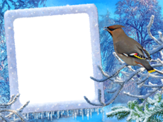 Bilderrahmen : Winterpaket