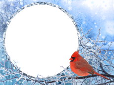 Bilderrahmen : Winterpaket