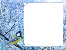 Bilderrahmen : Winterpaket