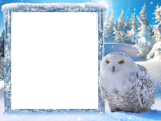 Bilderrahmen : Winterpaket