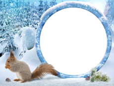 Bilderrahmen : Winterpaket