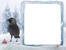 Bilderrahmen : Winterpaket