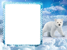 Bilderrahmen : Winterpaket