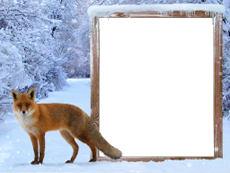 Bilderrahmen : Winterpaket