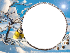 Bilderrahmen : Winterpaket