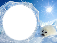 Bilderrahmen : Winterpaket