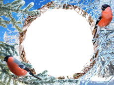 Bilderrahmen : Winterpaket
