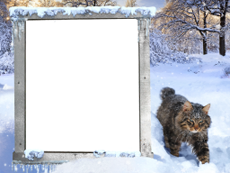 Bilderrahmen : Winterpaket