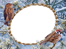 Bilderrahmen : Winterpaket