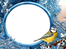 Bilderrahmen : Winterpaket