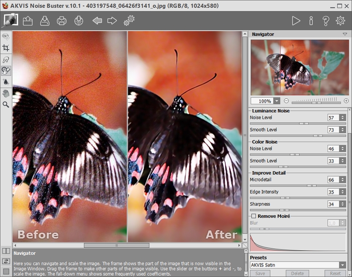 AKVIS Noise Buster 10.1