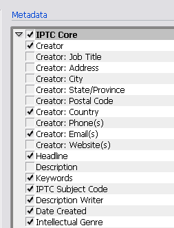 Adjust Preferences