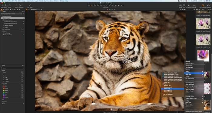 Окно программы Capture One с загруженными изображениями