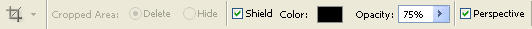 Crop options bar