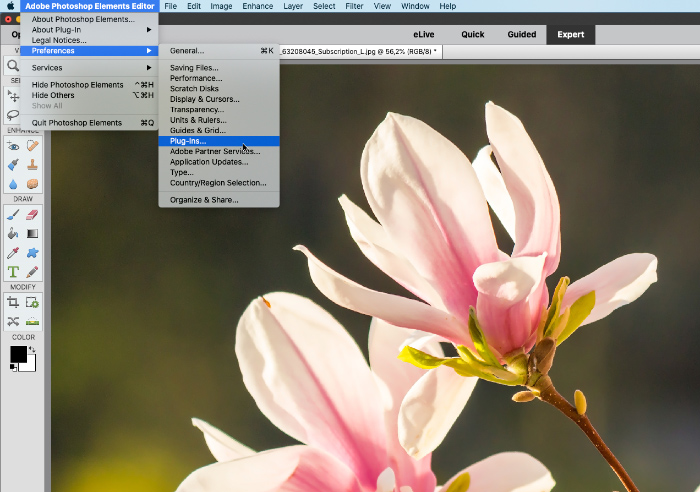 Preferencias de Photoshop Elements